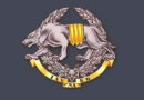 Знак Сил специальных операций Вооруженных Сил Украины
