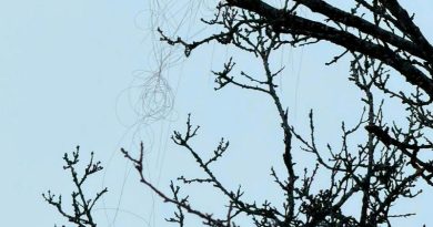 FPV-дрон на оптоволокне