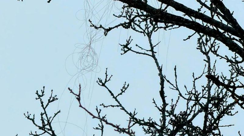 FPV-дрон на оптоволокне