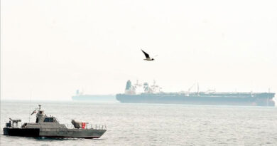 Россия, Китай и Иран направили корабли для совместных учений в Ормузском проливе