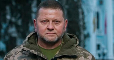 Валерий Залужный