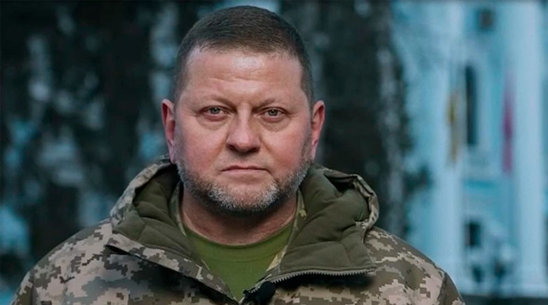 Валерий Залужный