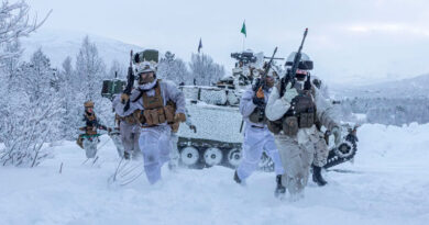 Учение Cold Response 2026