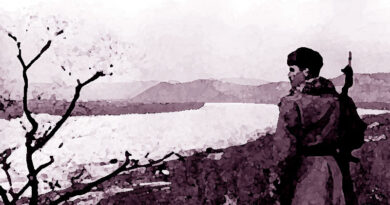 Бой за остров Даманский