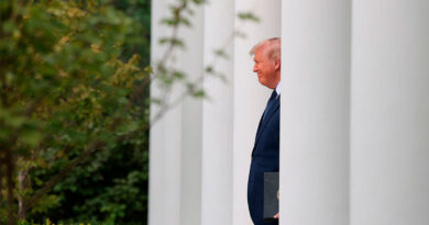 СМИ о встрече Зеленского и Трампа